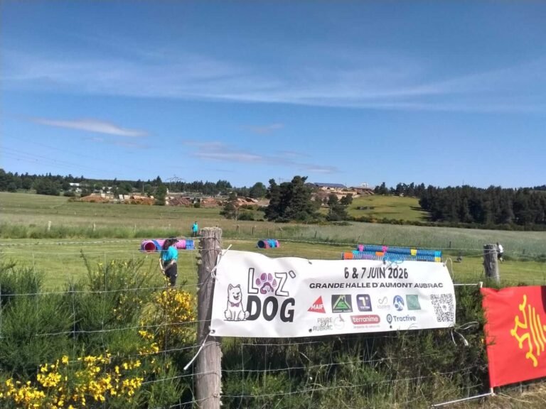 À la découverte de Loz&rsquo;Dog
