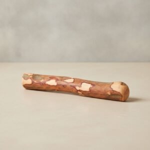 Oly | Chien