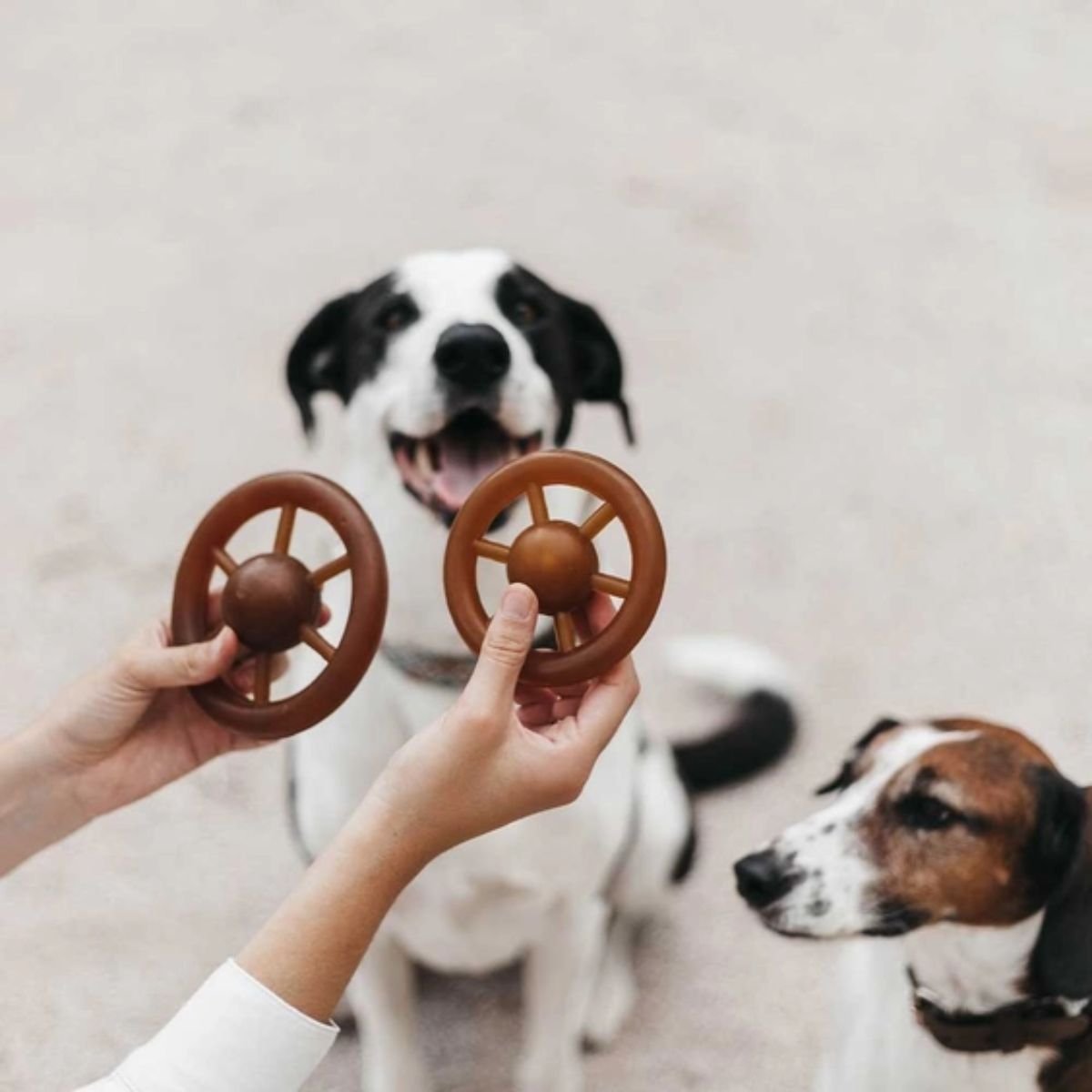 Rub Wheel – Image 3